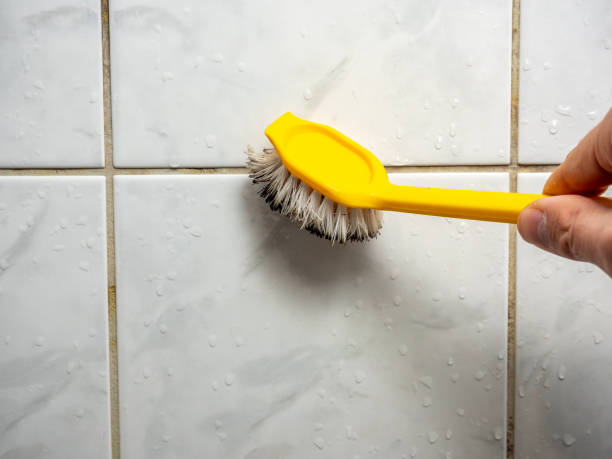 Best Local Mold Removal Service  in Keego Harbor, MI