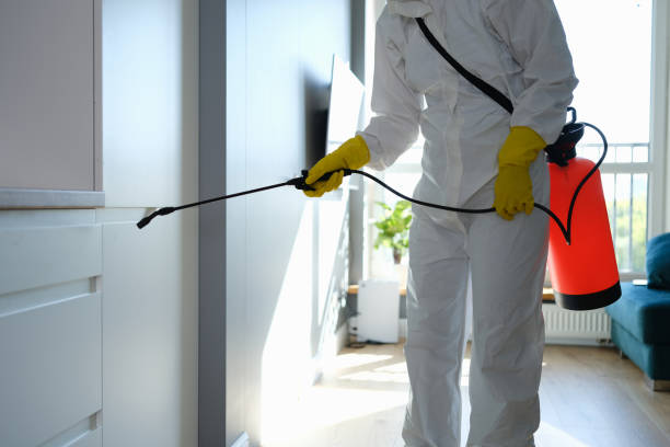 Best Emergency Mold Removal  in Keego Harbor, MI
