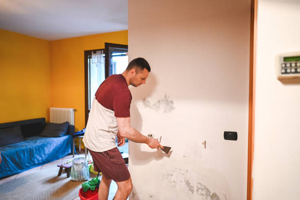 Best Mold Cleaning Services  in Keego Harbor, MI